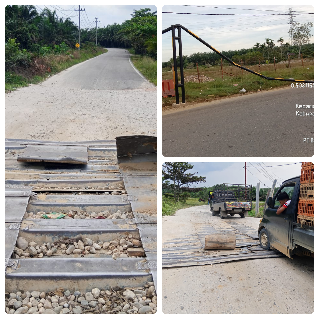 Bupati Meradang! Akses Jalan dan Jembatan di Sinambek Sentajo Raya Dirusak!