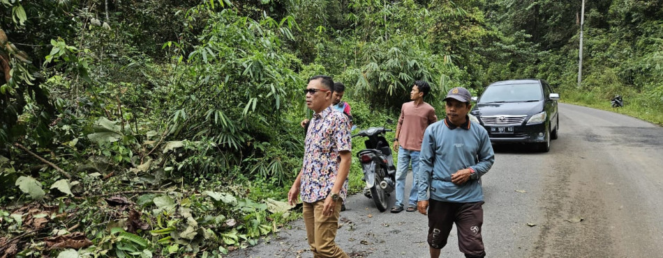 Atasi Pohon Tumbang Di Hutan Lindung, Camat Sentajo Raya Apresiasi Respon Cepat Kadis DLH